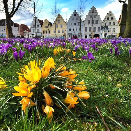 דירה Knuffelkamer Ueber Der Gracht